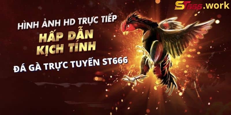 Ưu điểm khi xem đá gà online tại ST666